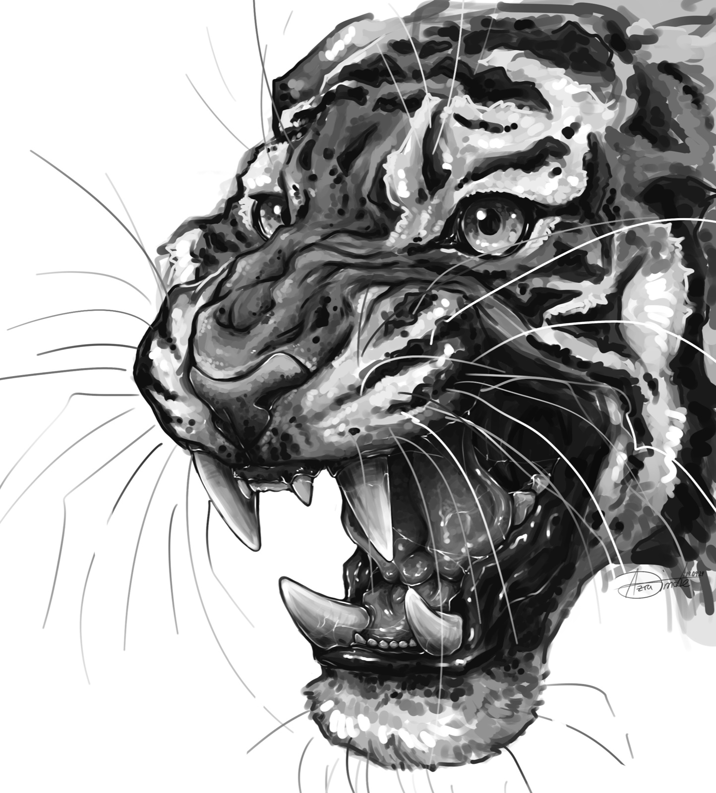 Fauchender Tiger, Graustufenstudie