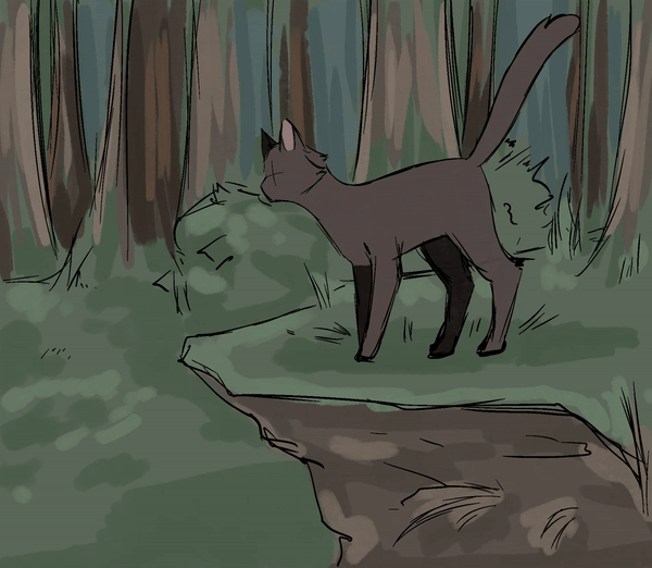 Animation einer Waldkatze