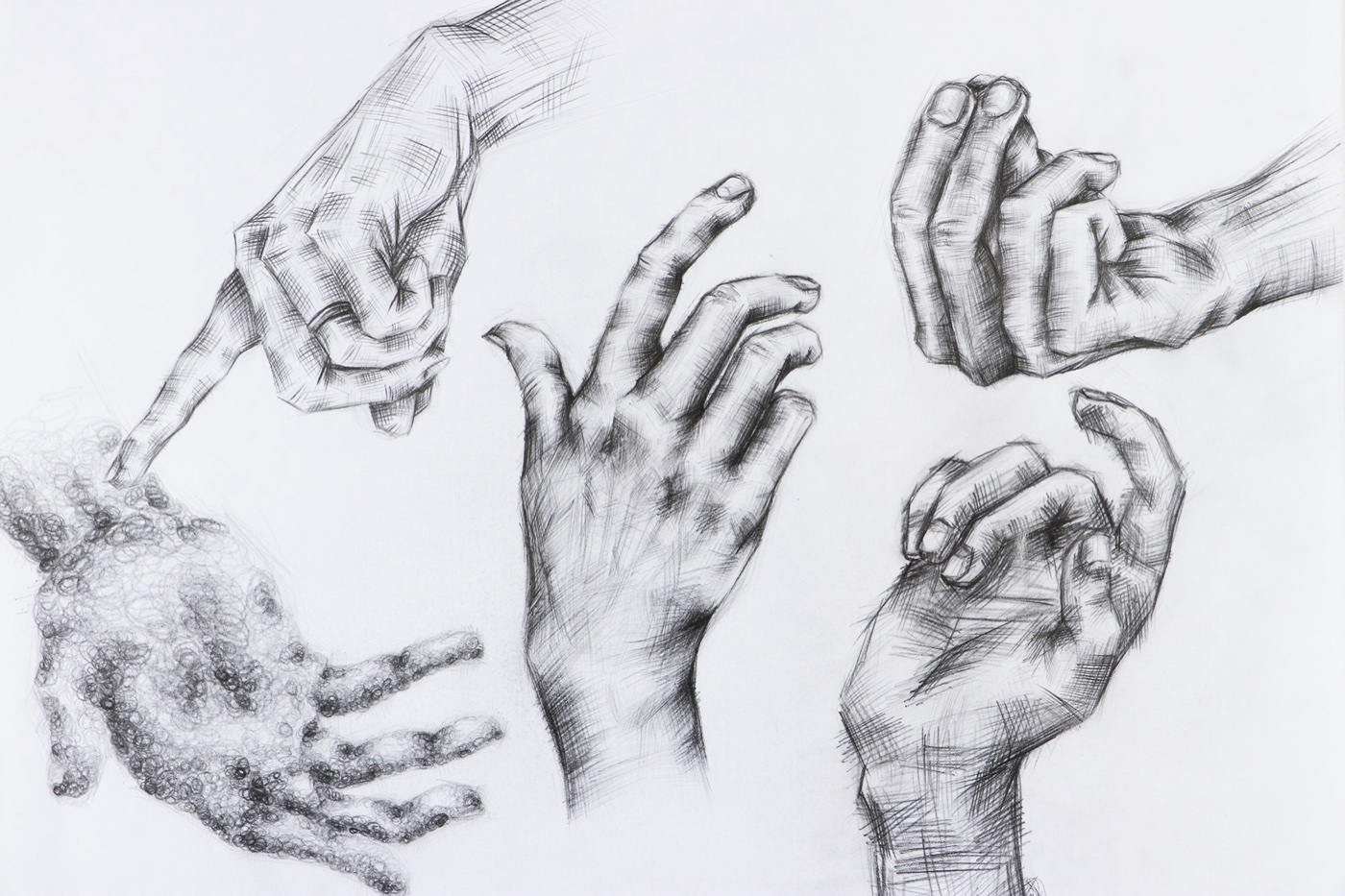 Bleistift-Handstudie